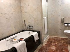 -新加坡文华东方酒店