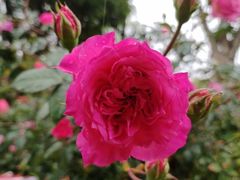 -人民公园(罗湖区)