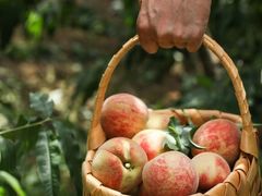 -星伦多自助料理(华润万象城店)