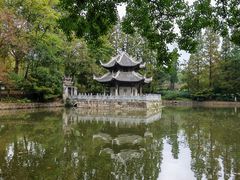 -习家池