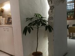 -COTTON CAFE(德信·中外公寓店)