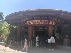 -哈蒙德餐厅
