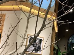 -墨居上隐·院子里火锅(峨眉店)