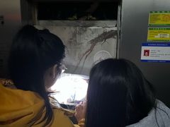 -谜盒子奇幻密室(南屏店)