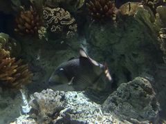 -福州罗源湾海洋世界旅游区