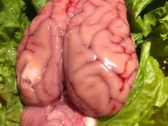 -三个大叔东北烧烤·砂锅菜(西三旗店)