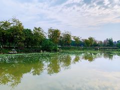 -桤木河湿地公园