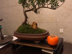 -王府茶宴(大观园总店)
