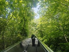 -天目湖山水园
