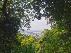 -紫金山天文台