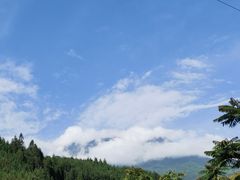 -瓦屋山景区