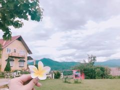 -黄色小屋