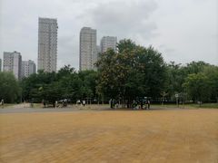 -太阳宫公园