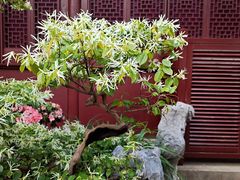 -豫园