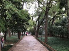 -西园戒幢律寺