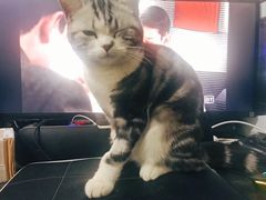 -达爱动物医院·犬猫分区·CT·复杂眼科(远洋山水分院)