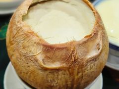 原只椰皇炖奶-民信老铺(华盖路店)