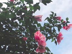 -太湖源风景区