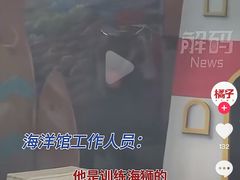 -锦艺城海洋馆