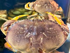 -广记海鲜(杨汊湖一店)