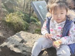 -紫金山山顶公园