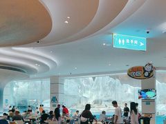 -帝企鹅自助餐厅•儿童岛•真企鹅(长隆企鹅酒店)