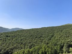-灵山