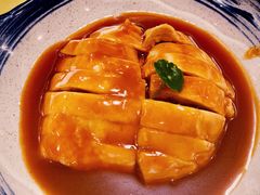-丁老爷子苏香圆