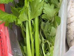 -大自然农场蔬菜草莓采摘园