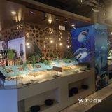 鱿鱼品类很全烤的肉品种毕竟多