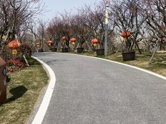 -上海长兴岛郊野公园