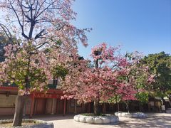 -广东圆玄道观