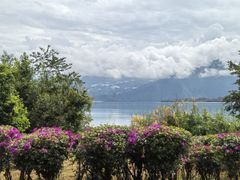 -西昌邛海湿地