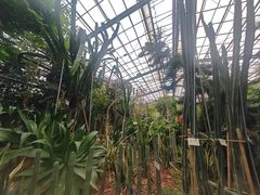 -呀路古热带植物园