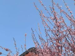 -堤角公园