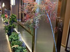 -宏宴·新京菜(望京店)