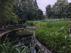 -成都市活水公园