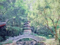 -深圳国际园林花卉博览园