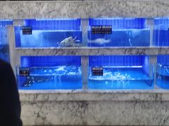 -香山湖渔家大院