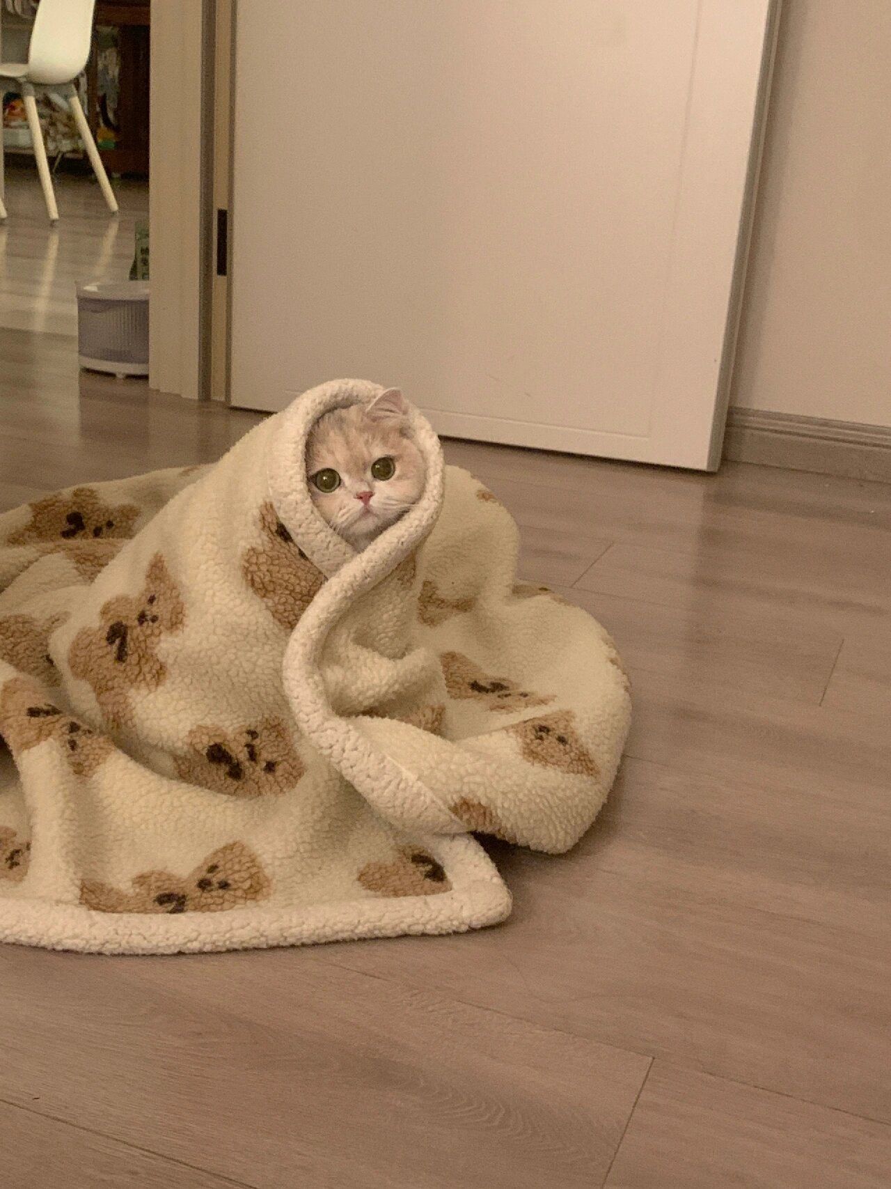 裹着小被子来找我睡觉了