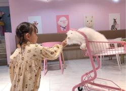 -Moni星球萌宠·小马宝莉·灵蛇·高端高阶全萌宠互动体验俱乐部(红豆国际广场店)