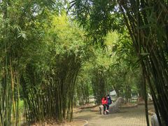-瀛洲公园