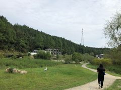 -景德镇民窑博物馆
