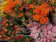 -循礼门鲜花花市(武汉循礼门店)