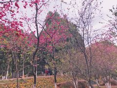 -昆明动物园