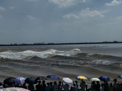 -观潮胜地公园