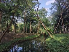 -白沙门生态公园