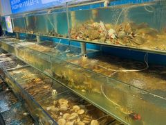 -仙螺岛海鲜自助餐厅(总店)