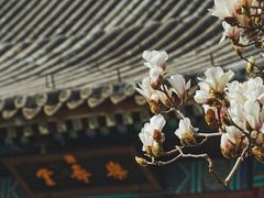-颐和园