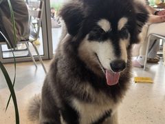 -omitofee咖啡(水泽店)